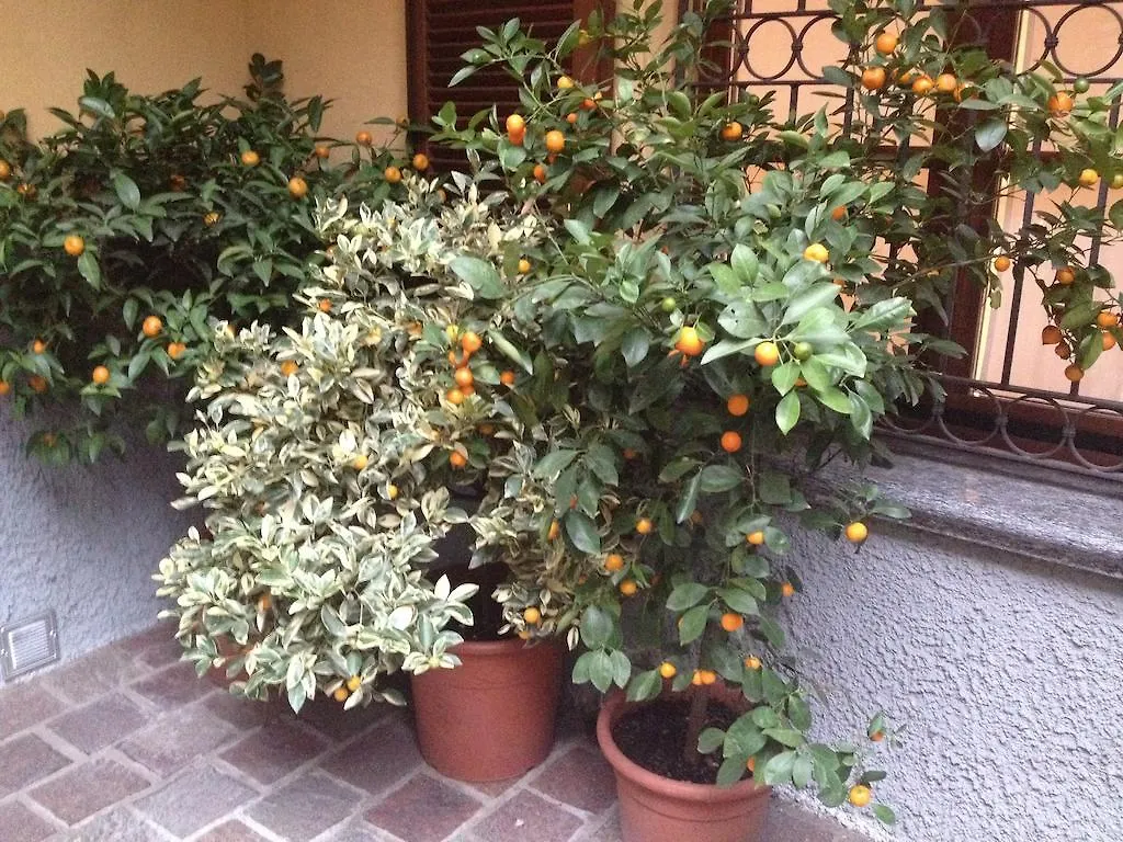 ***  Antica Trattoria Dell'Uva Hotel Monza Italy
